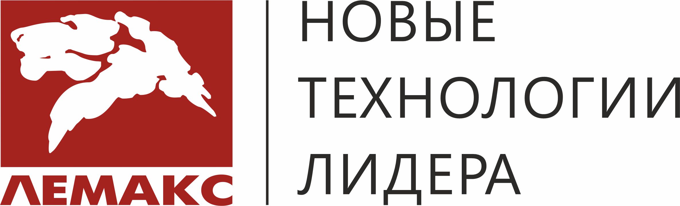 Лемакс — новые технологии лидера